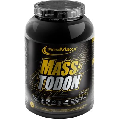 IronMaxx Masstodon Vanille - Gewichtszunahme für Muskelaufbau & Kraft IronMaxx Masstodon Vanille - Gewichtszunahme für Muskelaufbau & Kraft