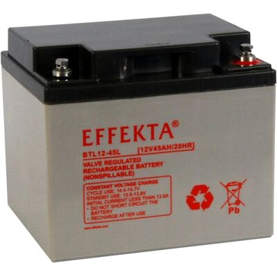 EFFEKTA BTL12-45L Lead-Acid Battery EFFEKTA BTL12-45L Lead-Acid Battery