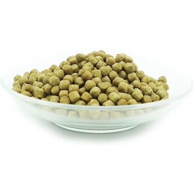 Cibo per pesci Koi KI-JA-KO Health Gram Piccolo Confezione - Cibo per pesci Cibo per pesci Koi KI-JA-KO Health Gram Piccolo Confezione - Cibo per pesci
