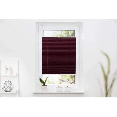 K-HOME Pisa Plissees - Klemmfix - 70cm x 210cm K-HOME Pisa Plissees - Klemmfix - 70cm x 210cm