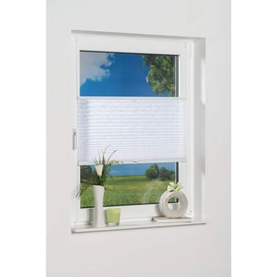 K-HOME Capri Plissee - Zweiseitig verschiebbar, 40cm, Weiß K-HOME Capri Plissee - Zweiseitig verschiebbar, 40cm, Weiß