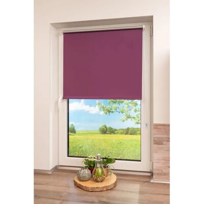 K-HOME Klemmfix-Rollo - 150x35cm - Lila (beere) - Rollo K-HOME Klemmfix-Rollo - 150x35cm - Lila (beere) - Rollo