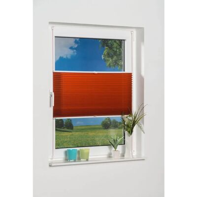 K-HOME Klemmfix Pisa Plissee - 210cm, Grau, Ohne Bohren K-HOME Klemmfix Pisa Plissee - 210cm, Grau, Ohne Bohren