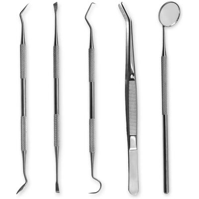 K-Pro Modello 5 Pezzi Set di Pulizia Dentale - Tipo Dentale K-Pro Modello 5 Pezzi Set di Pulizia Dentale - Tipo Dentale