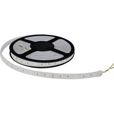ENOVALITE ELED 700104 - Tira LED - CCT - 5 metros - IP65 - 60 LED/m - 24V ENOVALITE ELED 700104 - Tira LED - CCT - 5 metros - IP65 - 60 LED/m - 24V
