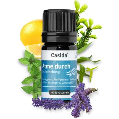 Casida Eukalyptus Minze Lavendel - Aromatherapie Öl Casida Eukalyptus Minze Lavendel - Aromatherapie Öl