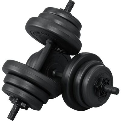 Artsport Ensemble de Haltères 20kg - Équipement de Musculation - Publicité Artsport Ensemble de Haltères 20kg - Équipement de Musculation - Publicité