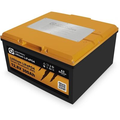 Liontron 12.8V 300Ah LX Arctic Lithium LiFePO4 BMS Liontron 12.8V 300Ah LX Arctic Lithium LiFePO4 BMS