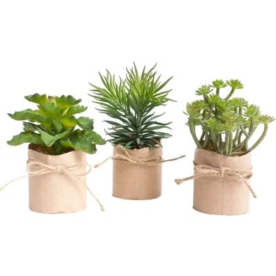 BOTANIC-HAUS - Sukkulentensortiment - grün - Ø12 cm - Kunstpflanze BOTANIC-HAUS - Sukkulentensortiment - grün - Ø12 cm - Kunstpflanze