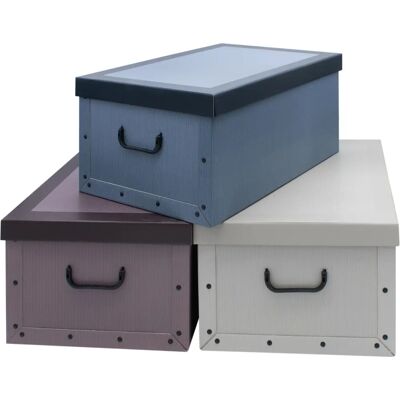 SPETEBO Aufbewahrungsboxen - 3 Farben, 45L SPETEBO Aufbewahrungsboxen - 3 Farben, 45L