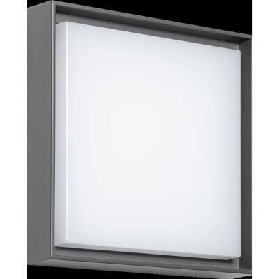 DOTLUX LED-Wandleuchte - 24cm, 14W, 3000K - WALLsquare DOTLUX LED-Wandleuchte - 24cm, 14W, 3000K - WALLsquare