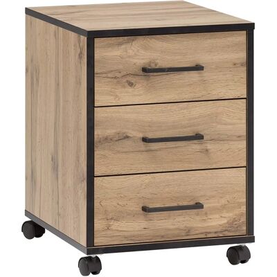 Schildmeyer Serie 2000 Beige Rollcontainer - Rollwagen Schildmeyer Serie 2000 Beige Rollcontainer - Rollwagen