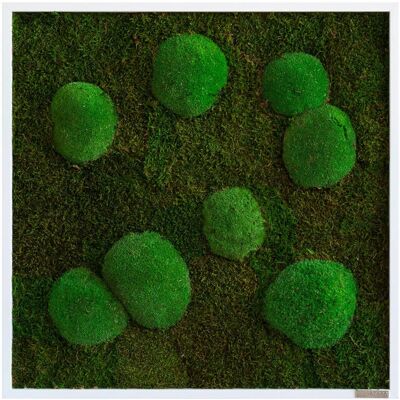 Allgemeines Moos Wandkunst - Grün - Wanddekoration Allgemeines Moos Wandkunst - Grün - Wanddekoration