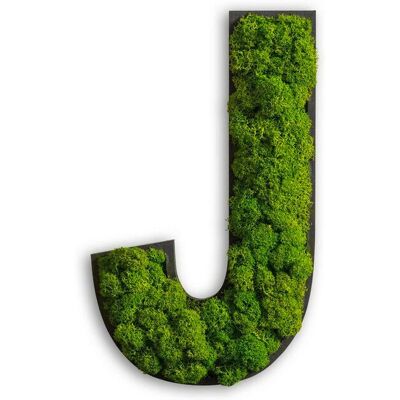 Unbekannte Marke Mechový Obraz - Grün - Wandbild Unbekannte Marke Mechový Obraz - Grün - Wandbild
