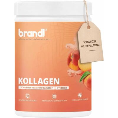 Brandl Nutrition Kollagen Pulver Pfirsich - Collagen Pulver Brandl Nutrition Kollagen Pulver Pfirsich - Collagen Pulver