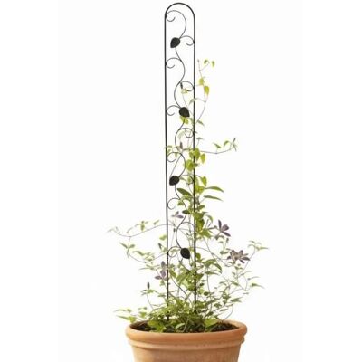 DANDIBO - Traliccio - 140 cm - Noir - trellis - Publicité DANDIBO - Traliccio - 140 cm - Noir - trellis - Publicité
