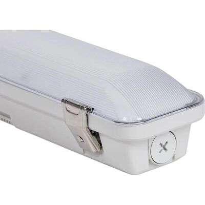 DOTLUX MISTRAL 1540mm IP66 Lumière LED étanche - Publicité DOTLUX MISTRAL 1540mm IP66 Lumière LED étanche - Publicité