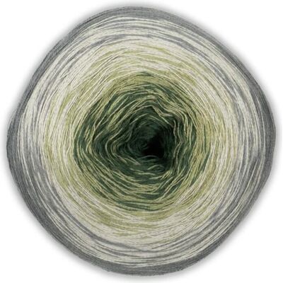 Woolly Hugs - Col. 66 - 800 m - 200 g - yarn Woolly Hugs - Col. 66 - 800 m - 200 g - yarn