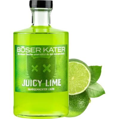 BÖSER KATER Juicy Lime Likör - 17% Vol. - Frischer Limettengeschmack BÖSER KATER Juicy Lime Likör - 17% Vol. - Frischer Limettengeschmack
