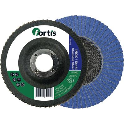 Accessorio per smerigliatrice Fortis 4317784705097 - K40, 115mm, Acciaio Accessorio per smerigliatrice Fortis 4317784705097 - K40, 115mm, Acciaio