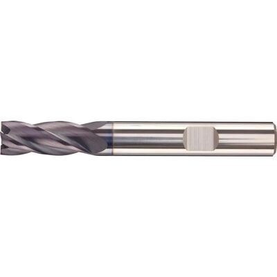 Fortis Modell 4317784742238 Fräser - VHM, Lang, 3mm, 50mm Fortis Modell 4317784742238 Fräser - VHM, Lang, 3mm, 50mm