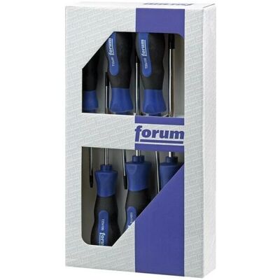 Forum T 10 T 15 T 20 T 25 T 30 T 40 Set di cacciaviti Torx Forum T 10 T 15 T 20 T 25 T 30 T 40 Set di cacciaviti Torx