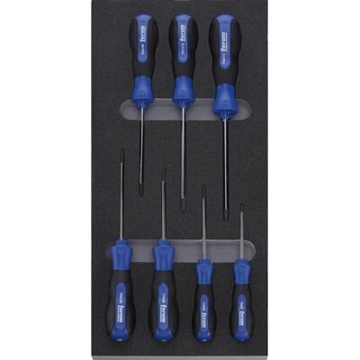 Forum 2017 1/3 Torx Werkzeuggmodule - Schraubenzieher-Set Forum 2017 1/3 Torx Werkzeuggmodule - Schraubenzieher-Set