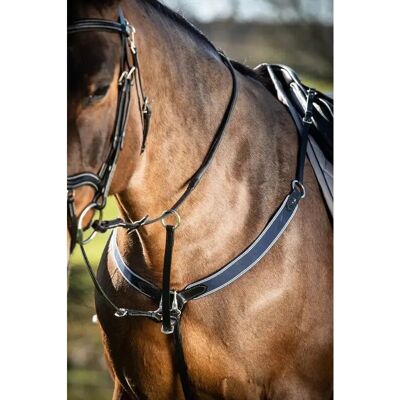 HFI Jagdhalsband für Pferde - Verstellbar, Leder, Messing-Schnallen HFI Jagdhalsband für Pferde - Verstellbar, Leder, Messing-Schnallen