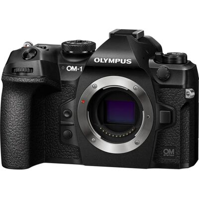 OM System OM-1 - Kropp OM System OM-1 - Kropp