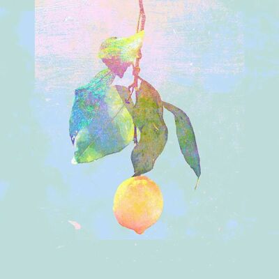 Sony Japan Kenshi Yonezu - Lemon - Édition limitée - Album de musique - Publicité Sony Japan Kenshi Yonezu - Lemon - Édition limitée - Album de musique - Publicité