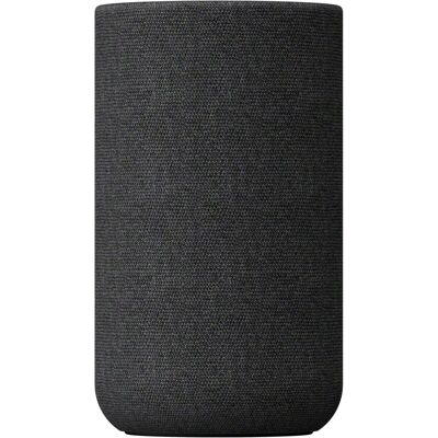 Sony SA-RS5 Sony SA-RS5