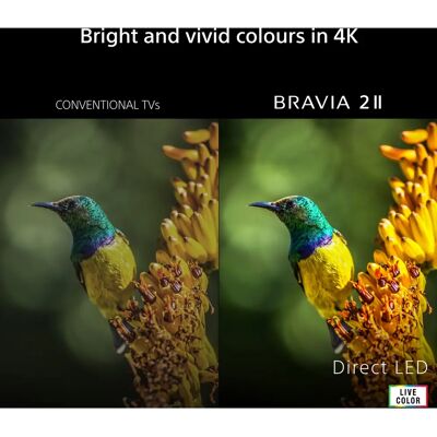 Sony - K75S25M2PB - 75-inch - 4K LED - TV Sony - K75S25M2PB - 75-inch - 4K LED - TV