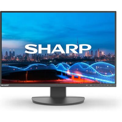 Monitor LCD Sharp EA241W da 24 pollici - Full HD, 5 ms Monitor LCD Sharp EA241W da 24 pollici - Full HD, 5 ms