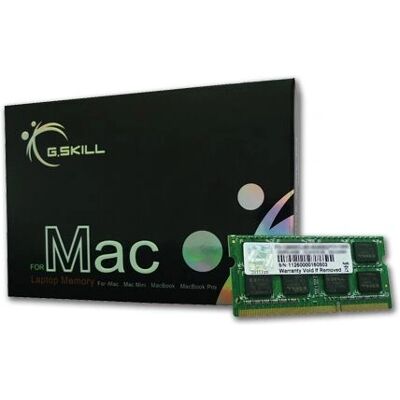 G.Skill 4GB DDR3-1066 Modulo di memoria - Memoria G.Skill 4GB DDR3-1066 Modulo di memoria - Memoria