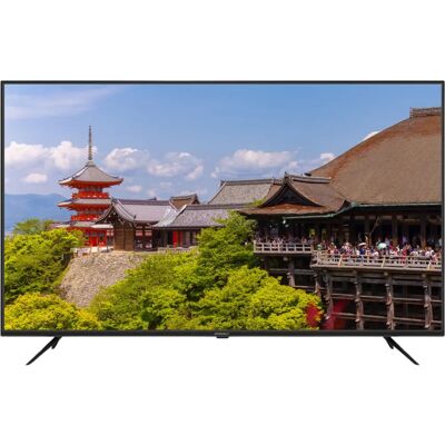 JAPANNEXT - JN-IPS650UHD60F - 65-Zoll - Monitor JAPANNEXT - JN-IPS650UHD60F - 65-Zoll - Monitor