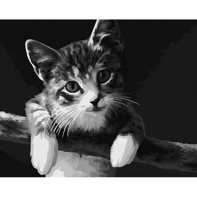 buttinette Malen nach Zahlen Set Katze - 50x40cm buttinette Malen nach Zahlen Set Katze - 50x40cm