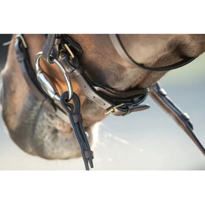 HFI Shiny Reithalfter - Braun/Gold - Pony HFI Shiny Reithalfter - Braun/Gold - Pony