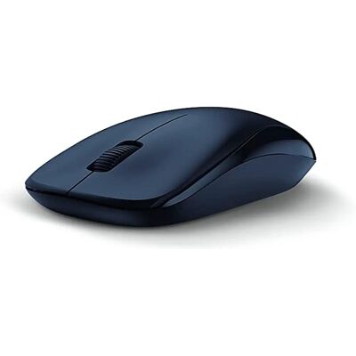 Souris sans fil Genius NX-7000 - Souris Souris sans fil Genius NX-7000 - Souris