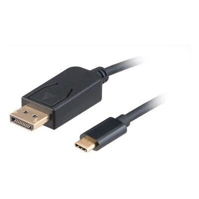 Akasa Typ C Adapter Kabel auf DP (1.80 m, USB), Video Kabel Akasa Typ C Adapter Kabel auf DP (1.80 m, USB), Video Kabel