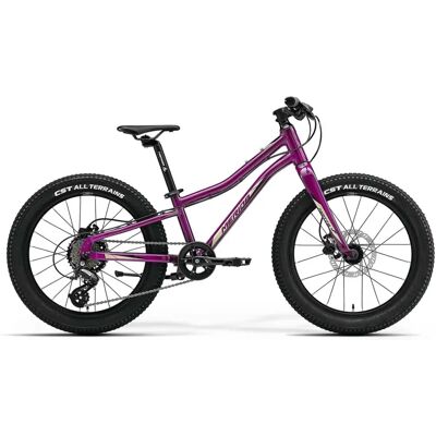MERIDA Jugend Mountainbike 20" MATTS J. 20+ - Mountainbike MERIDA Jugend Mountainbike 20" MATTS J. 20+ - Mountainbike