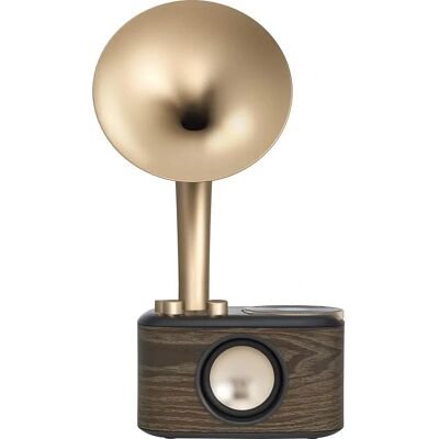 Sangean WR-45X Goud Radio - Bluetooth FM AUX Draagbaar Sangean WR-45X Goud Radio - Bluetooth FM AUX Draagbaar