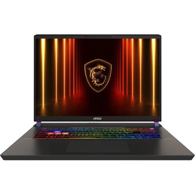 MSI Vector 17 HX AI A2XWIG-040 - Laptop - Grau MSI Vector 17 HX AI A2XWIG-040 - Laptop - Grau