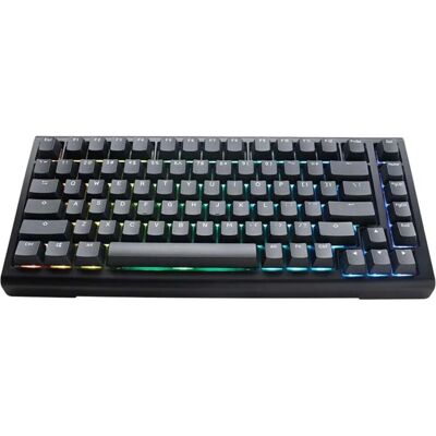 Tastiera Meccanica RGB Ducky Tinker65 75% - Tastiera Tastiera Meccanica RGB Ducky Tinker65 75% - Tastiera