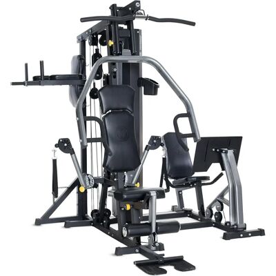 Horizon Fitness Torus 5 Multiestación - Equipo de entrenamiento completo Horizon Fitness Torus 5 Multiestación - Equipo de entrenamiento completo