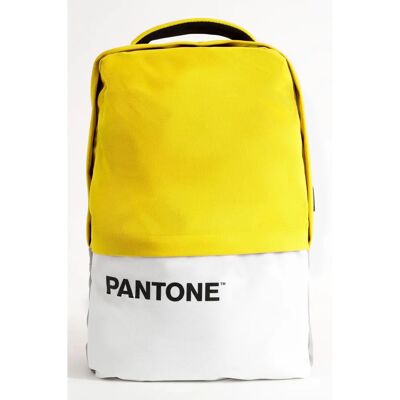 Zaino Pantone PT-BK102Y - Caricabatterie USB, 15.6" Laptop Zaino Pantone PT-BK102Y - Caricabatterie USB, 15.6" Laptop