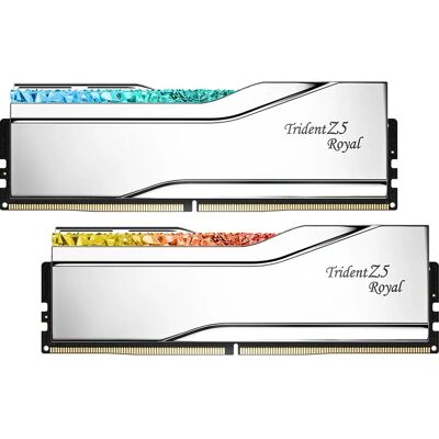 Module mémoire G.Skill F5-8400J4052G24GX2-TR5S - 48GB DDR5 8400 MHz Module mémoire G.Skill F5-8400J4052G24GX2-TR5S - 48GB DDR5 8400 MHz