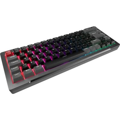Raijintek MGA-68 Aluminium Gaming-Tastatur ARGB Magnetischer Schalter Raijintek MGA-68 Aluminium Gaming-Tastatur ARGB Magnetischer Schalter