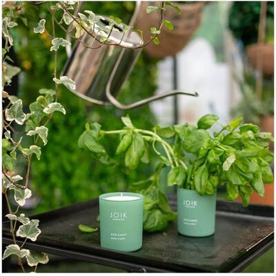 JOIK Organic Basil Mint Candle - Scented Home & Spa JOIK Organic Basil Mint Candle - Scented Home & Spa