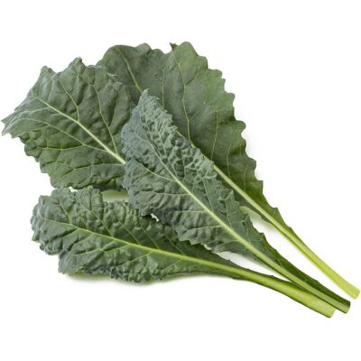 Click & Grow Smart Nachfüllung Italienischer Kohl 3 Stk Click & Grow Smart Nachfüllung Italienischer Kohl 3 Stk