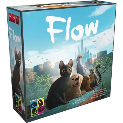 Brain Games Fluss - Brettspiel Brain Games Fluss - Brettspiel